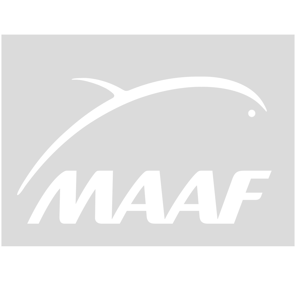 Logo Item