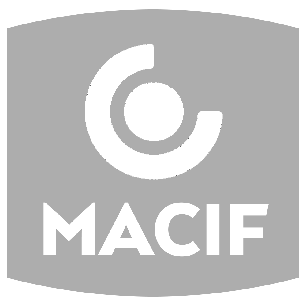 Logo Item